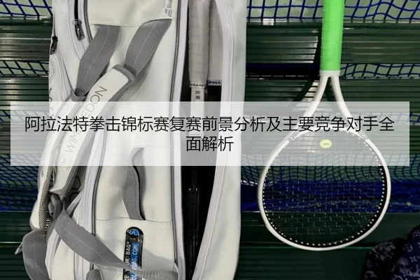 阿拉法特拳击锦标赛复赛前景分析及主要竞争对手全面解析 | Wanmei